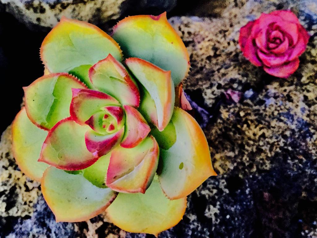 Finca Valentina Tigalate Zewnętrze zdjęcie
