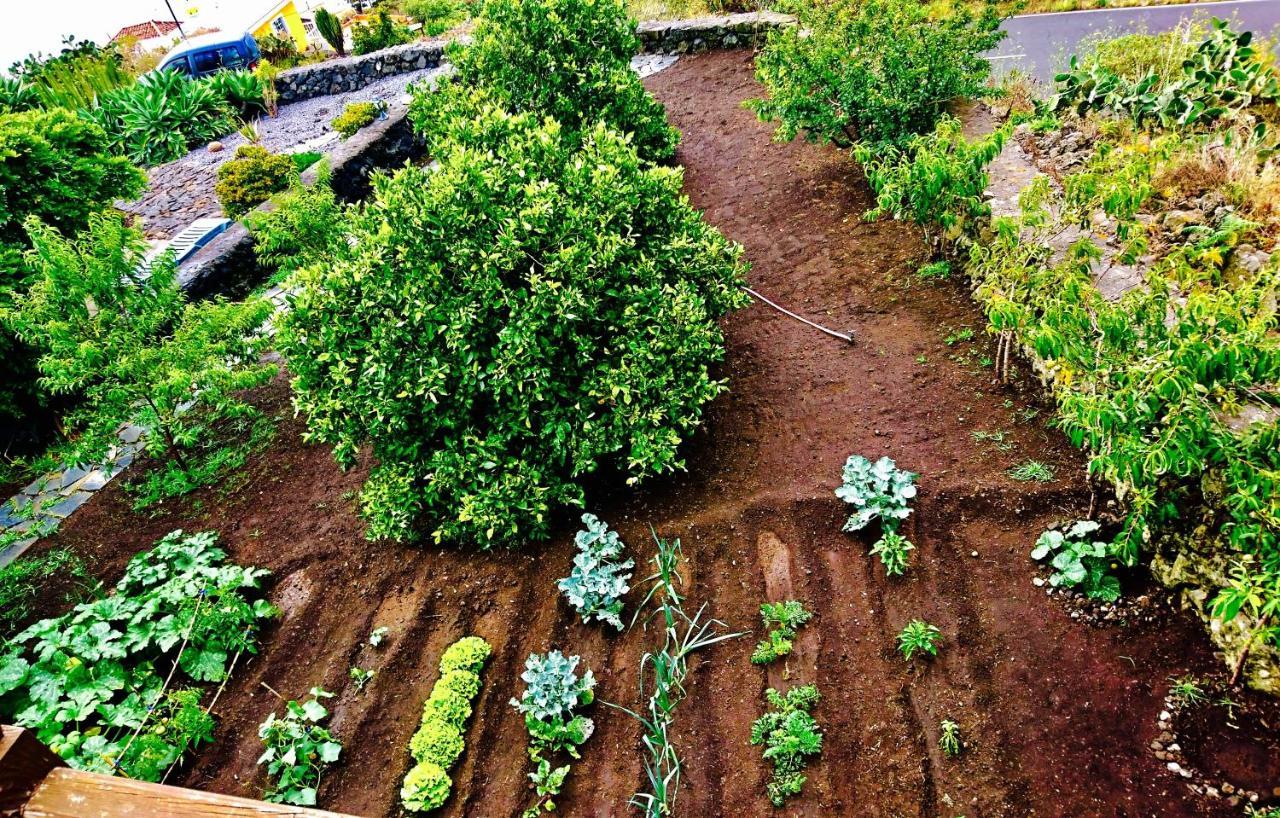 Finca Valentina Tigalate Zewnętrze zdjęcie